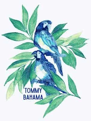 Seasonal Sale Tommy Bahama Birds Of A Feather T-Shirt - White